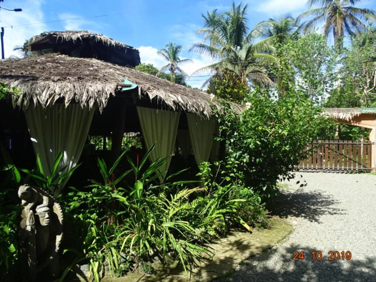 Hotel Caribbean Coconut Cahuita Exterior foto